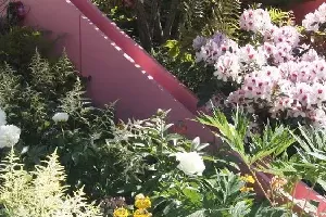 Realizacja ogrodu 14 - Chelsea Flower Show 2017