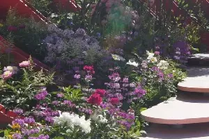 Realizacja ogrodu 15 - Chelsea Flower Show 20175