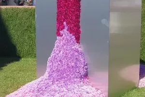 Realizacja ogrodu 27 - Chelsea Flower Show 2017