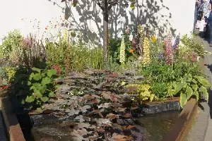 Realizacja ogrodu 30 - Chelsea Flower Show 2017