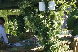Realizacja ogrodu 33 - Chelsea Flower Show 2017