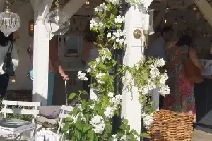 Realizacja ogrodu 42 - Chelsea Flower Show 2017