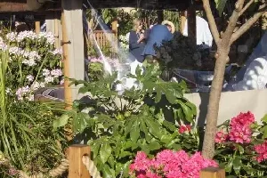 Realizacja ogrodu 68 - Chelsea Flower Show 2017