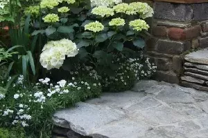 Realizacja ogrodu 78 - Chelsea Flower Show 2017